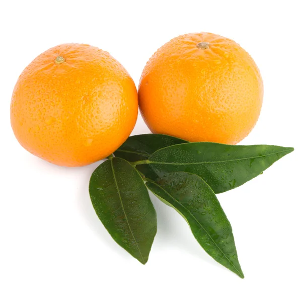 Rijp tangerine of Mandarijn — Stockfoto