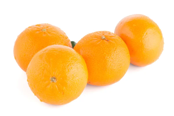 成熟橘或普通话 — 图库照片