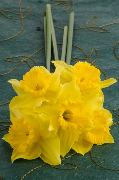 Jonquil blommor — Stockfoto