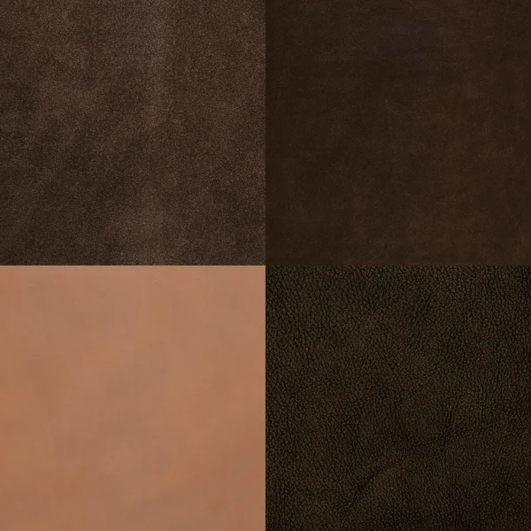 Set of brown leather samples — Stock Photo, Image