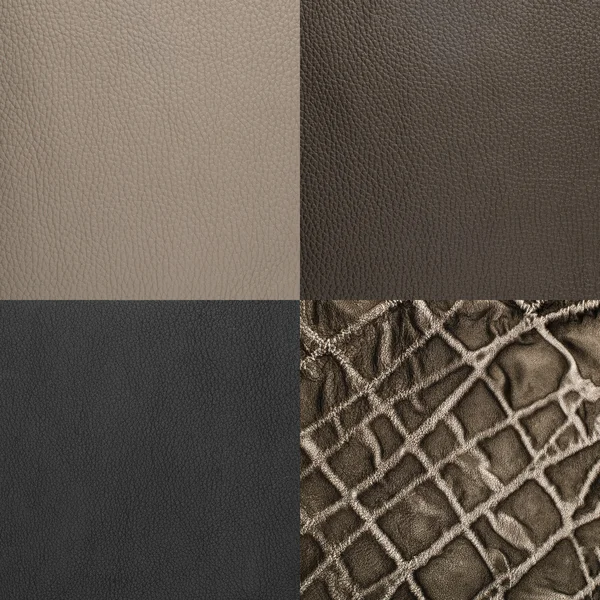 Conjunto de muestras de cuero gris —  Fotos de Stock