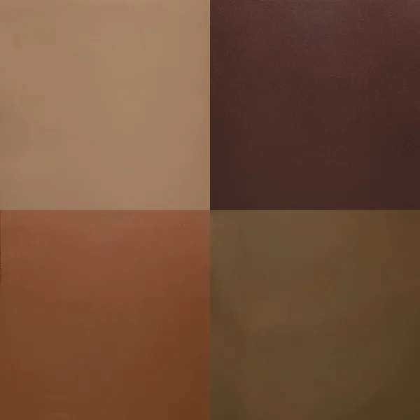 Set of brown leather samples — Stock Photo, Image