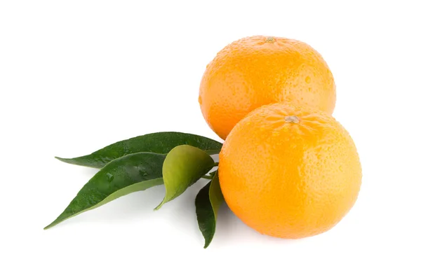 Rijp tangerine of Mandarijn — Stockfoto