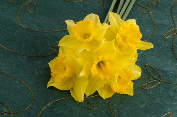 Jonquil blommor — Stockfoto