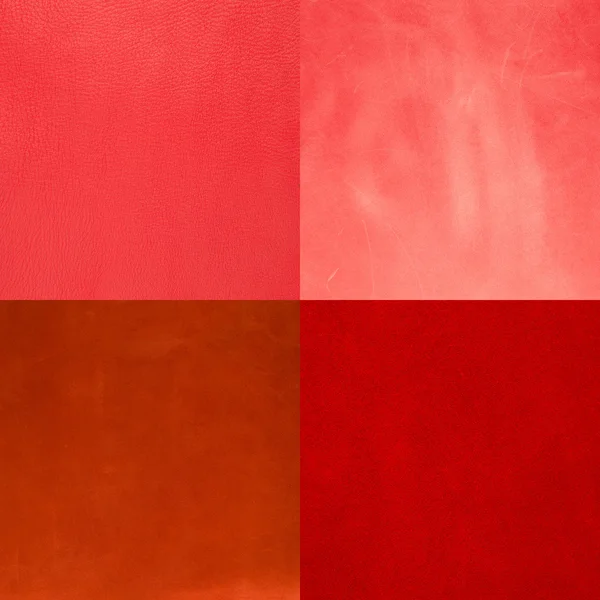 赤い革サンプルのセット — ストック写真