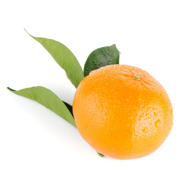 Rijp tangerine of Mandarijn — Stockfoto