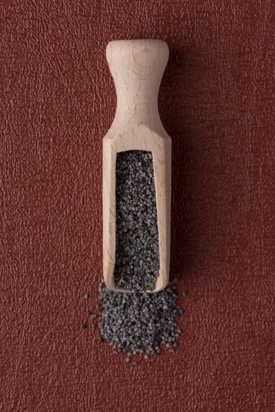 Circle of poppy seeds — Stock Photo, Image