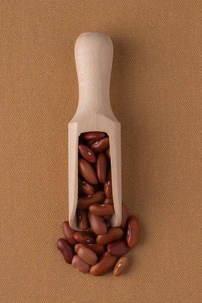 Wooden scoop with red beans — Stock Photo, Image