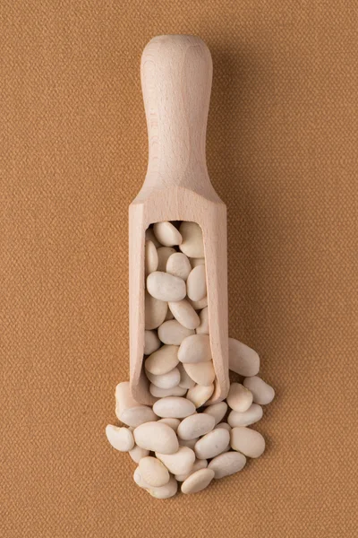 Дерев'яна совок з білими бобами — стокове фото