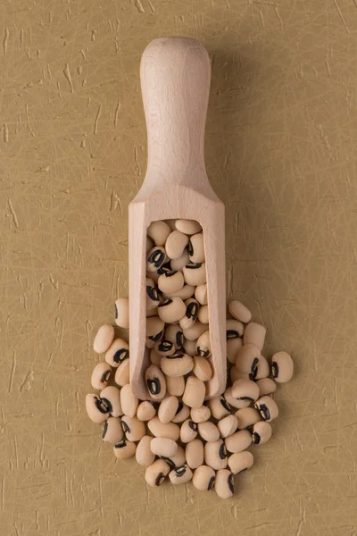 白豆と木製のスクープ — ストック写真