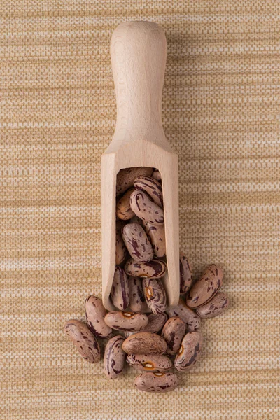 Scoop de madeira com feijão pinto — Fotografia de Stock