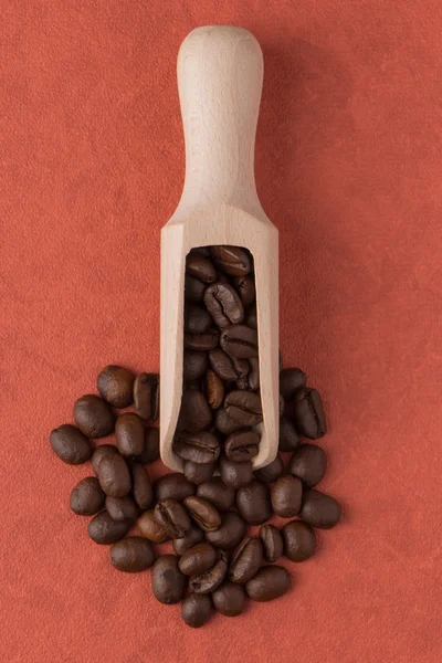 Wooden scoop with coffee beans — Stock Photo, Image