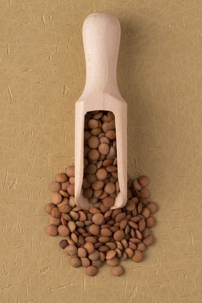 Wooden scoop with lentils — Stock Photo, Image