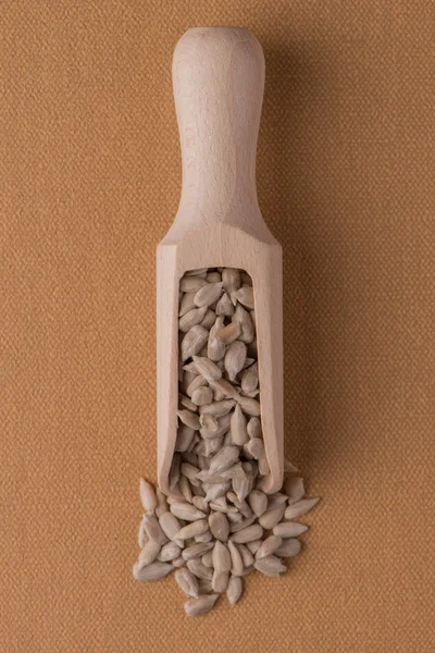 Pala de madera con semillas de girasol sin cáscara — Foto de Stock