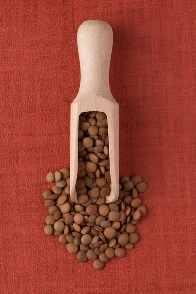 Cucharada de madera con lentejas —  Fotos de Stock