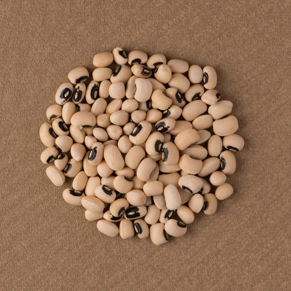 Circle of white beans — Stock Photo, Image