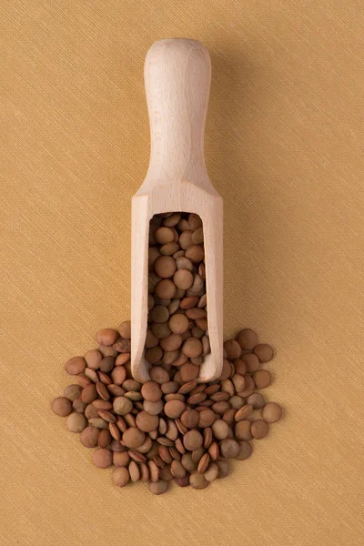 Wooden scoop with lentils — Stock Photo, Image