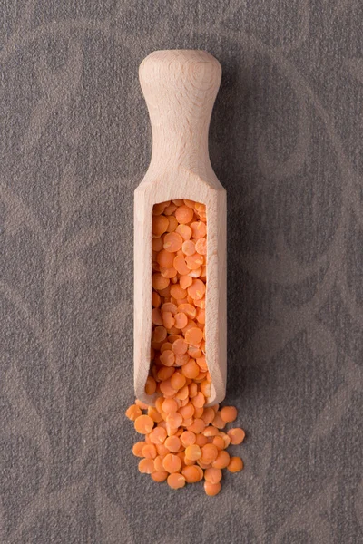 Wooden scoop with  peeled lentils — Stock Photo, Image