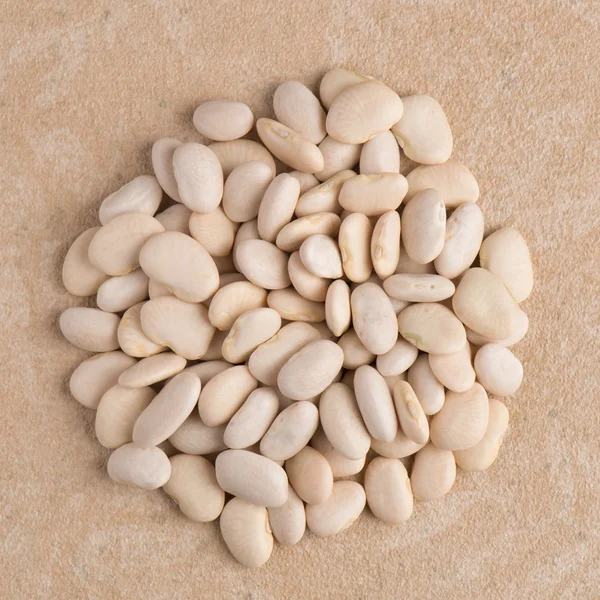 白豆のサークル — ストック写真