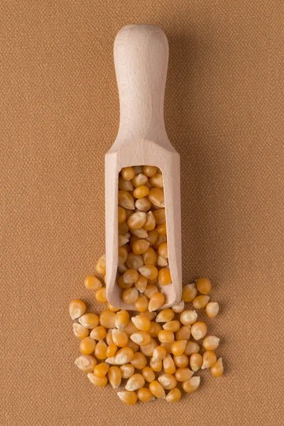 Wooden scoop with corn — Stock Photo, Image