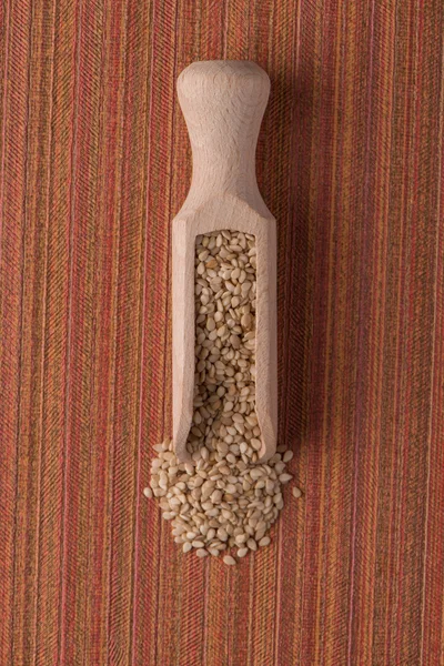 Círculo de semillas de sésamo — Foto de Stock