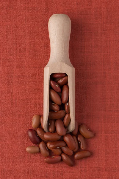 Cuillère en bois avec haricots rouges — Photo