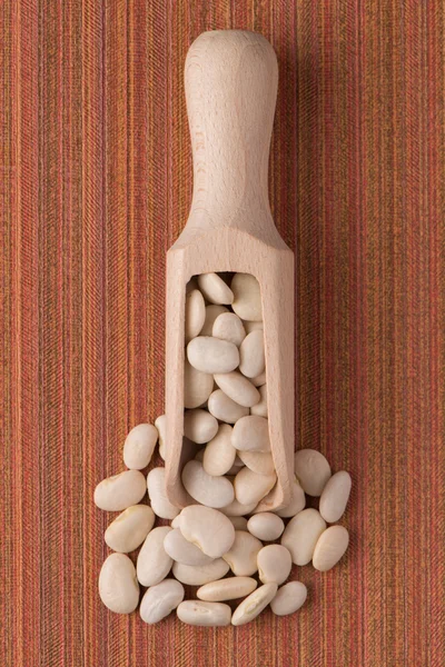 瓢白豆 — 图库照片