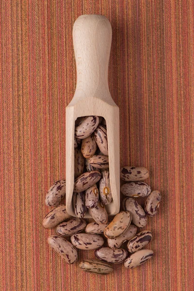 Wooden scoop with pinto beans — Stock Photo, Image