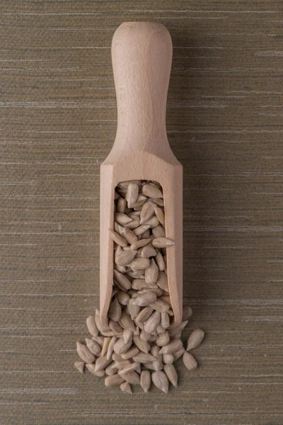 Cuillère en bois avec graines de tournesol décortiquées — Photo