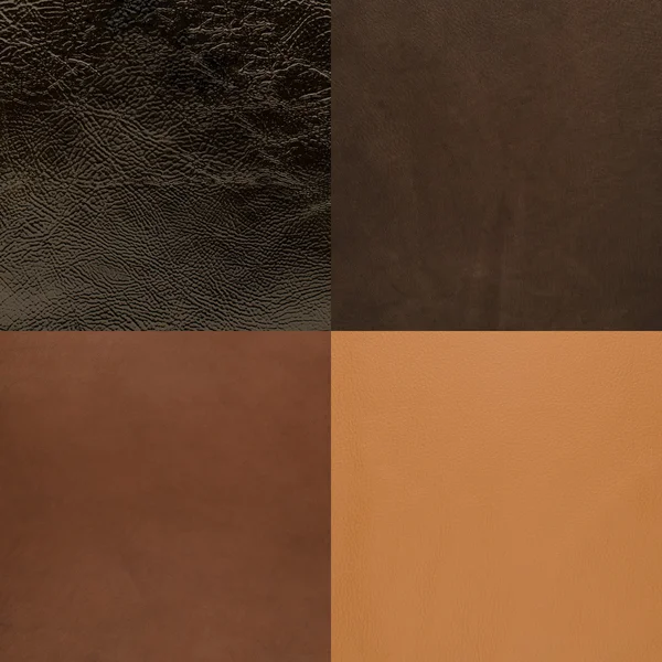 Conjunto de amostras de couro marrom — Fotografia de Stock