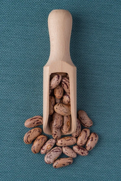 Wooden scoop with pinto beans — Stock Photo, Image