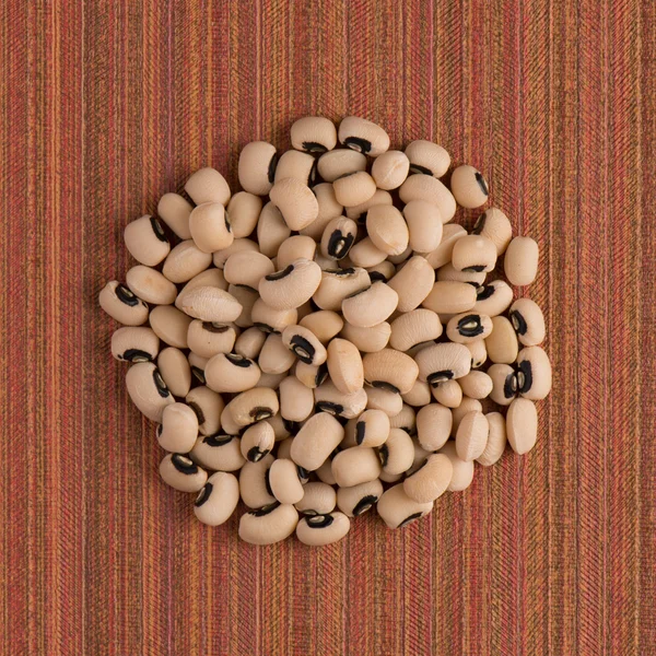 Circle of white beans — Stock Photo, Image