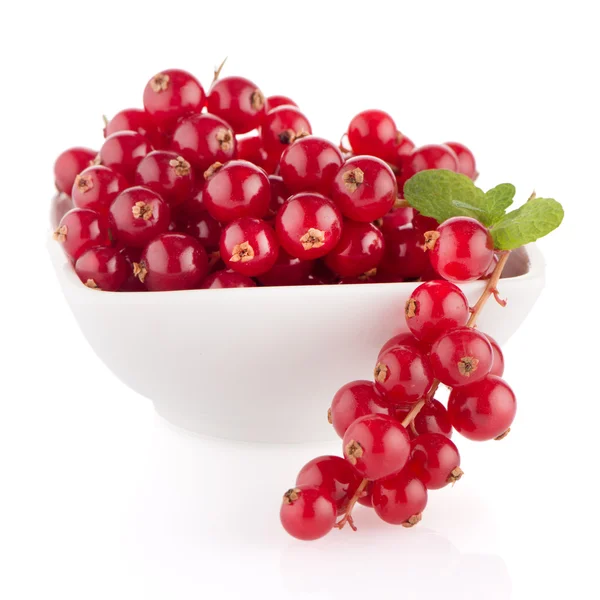 Currants red — Zdjęcie stockowe