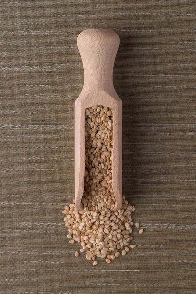 Circle of sesame seeds — Stock Photo, Image