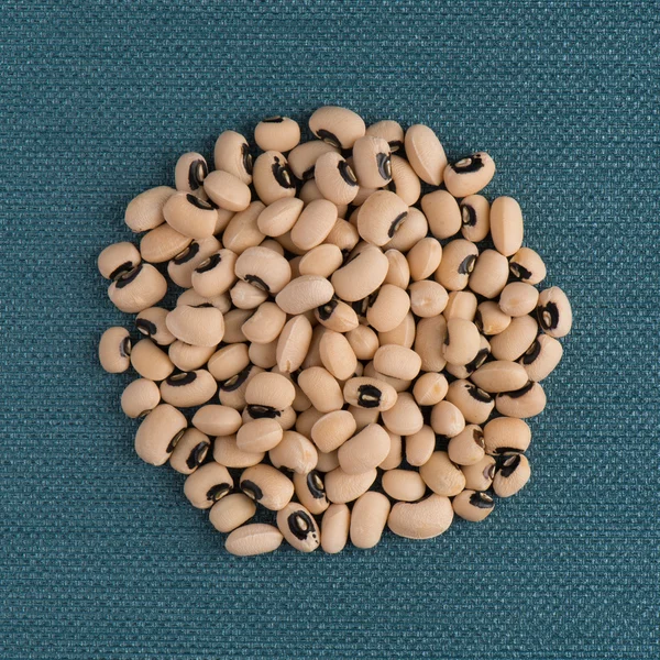 Circle of white beans — Stock Photo, Image