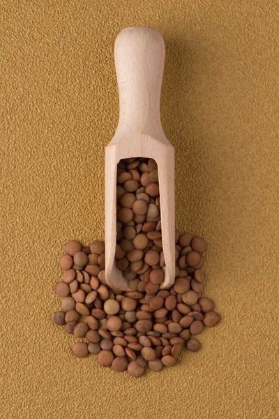Colher de madeira com lentilhas — Fotografia de Stock