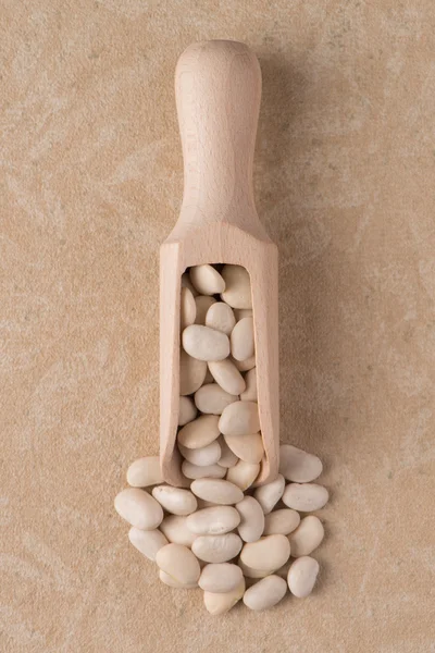 Wooden scoop with white beans — Stock Photo, Image