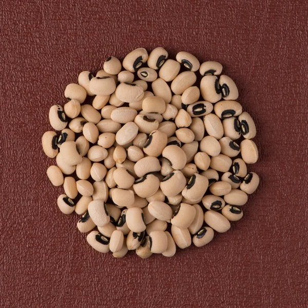 Circle of white beans — Stock Photo, Image