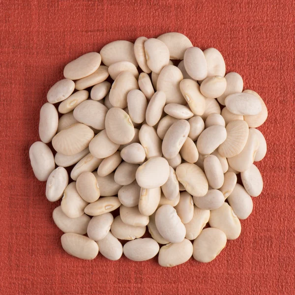 Circle of white beans — Stock Photo, Image