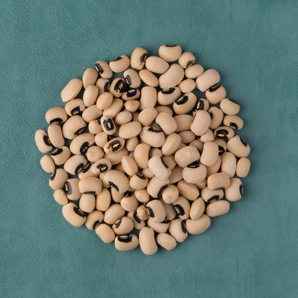 Circle of white beans — Stock Photo, Image