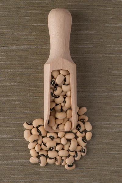 Wooden scoop with white beans — Stock Photo, Image