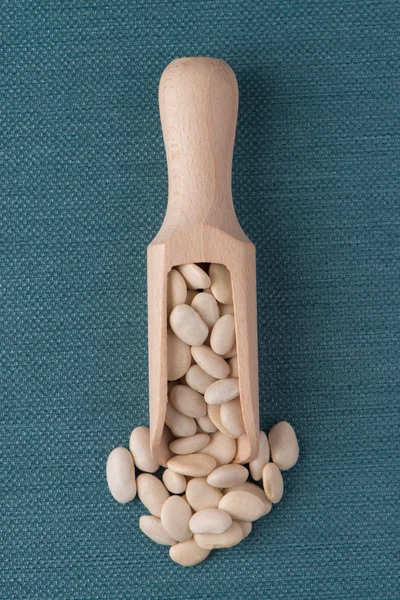 Wooden scoop with white beans — Stock Photo, Image