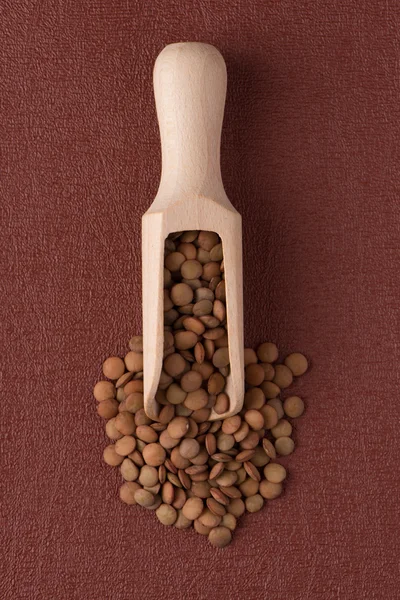 Wooden scoop with lentils — Stock Photo, Image