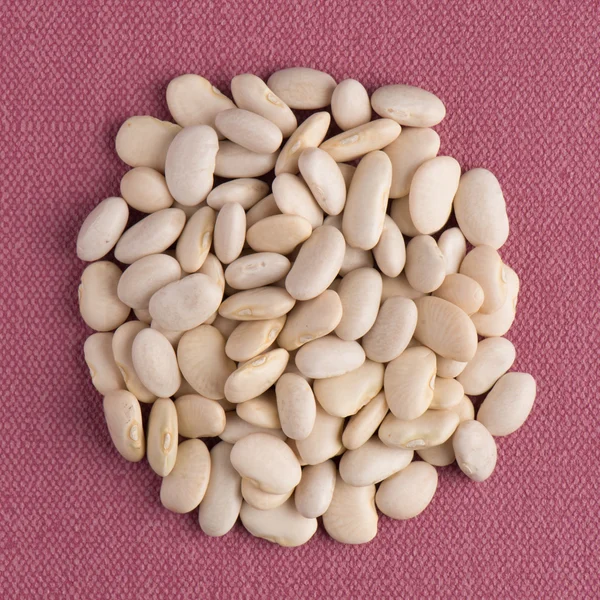 Circle of white beans — Stock Photo, Image