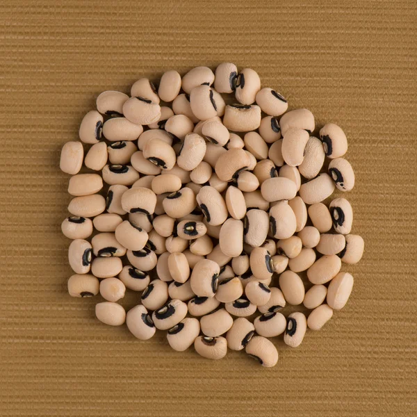 Circle of white beans — Stock Photo, Image