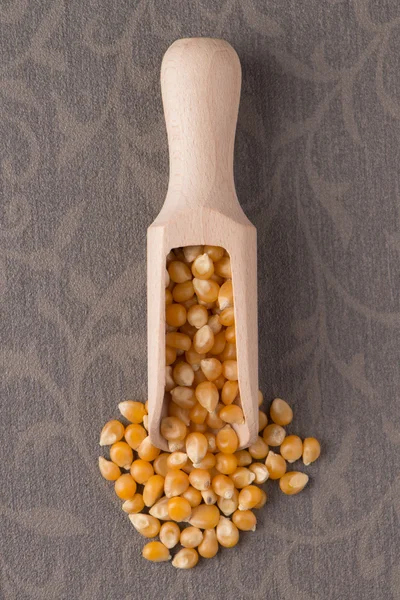 Wooden scoop with corn — Stock Photo, Image