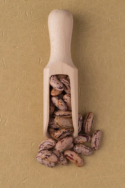 Scoop de madeira com feijão pinto — Fotografia de Stock
