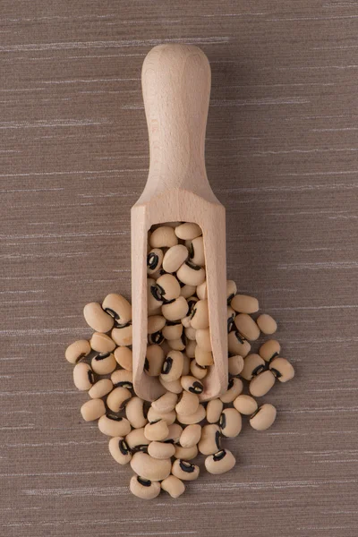 Wooden scoop with white beans — Stock Photo, Image