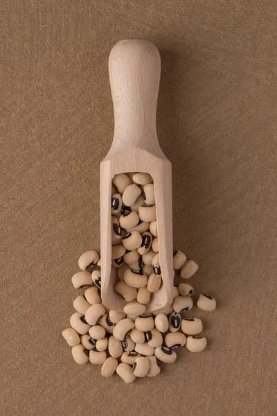 白豆と木製のスクープ — ストック写真