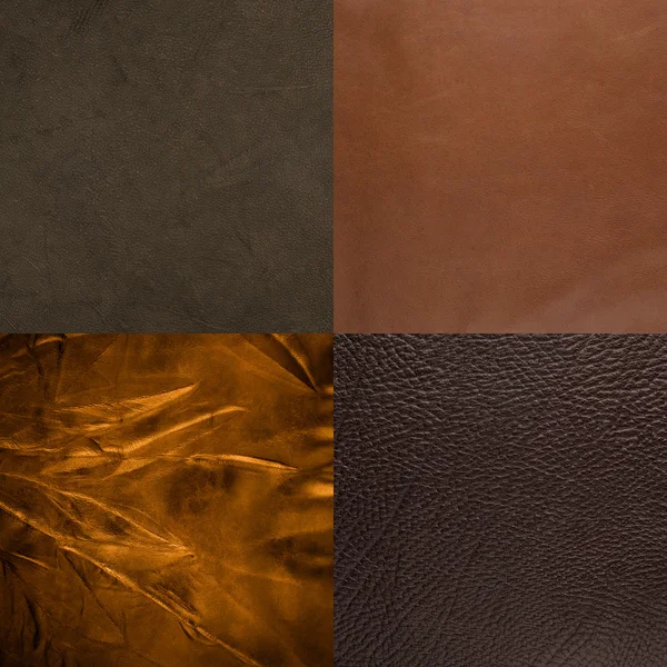 Conjunto de muestras de cuero marrón —  Fotos de Stock